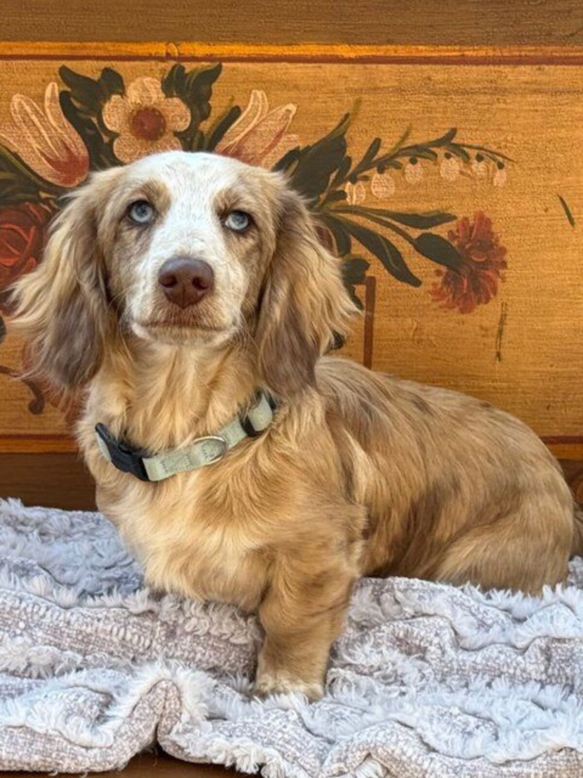 Bentley